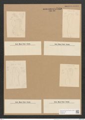 Amphiprora tahitensis Grun. (de-Toni-Nr.: Genus 29, Species 1321) Zeichnungen Sammlung Grunow Nr. 2549 (NHMW-BOT-W0369726)